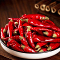 Natural dried chilies Chinese spice Green pepper